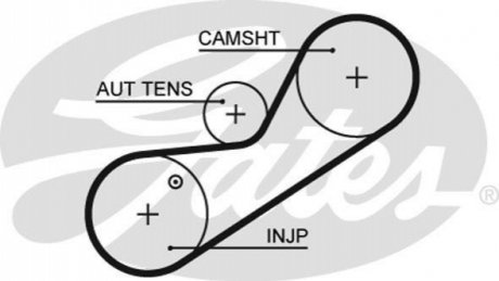 Ремінь ГРМ GATES 5546XS (фото 1)
