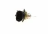 Лампа розжарювання HIR2 12V 55W PX22D (вир-во Bosch) BOSCH 1987302026 (фото 3)