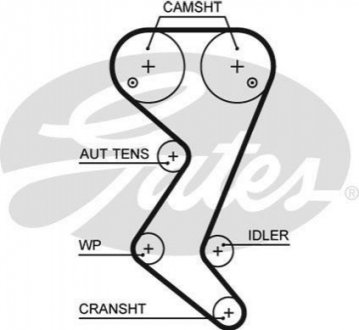 Ремінь ГРМ GATES 5582XS (фото 1)