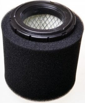 FILTER AIR DENCKERMANN A141745