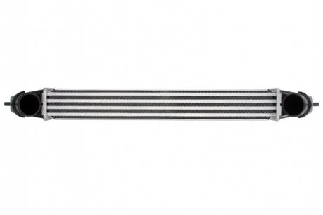 Інтеркулер THERMOTEC DAF003TT