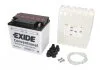 Акумулятор EXIDE Y60N24LAEXIDE (фото 1)