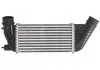 Інтеркулер THERMOTEC DAC006TT (фото 1)