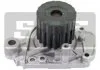 Насос води SKF VKPC93000