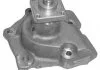 Водяной насос (вир-во Magneti Marelli кор.код. WPQ0171) MAGNETI MARELLI 352316170171 (фото 1)