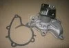 Водяний насос (Вир-во Magneti Marelli кор.код. WPQ0764) MAGNETI MARELLI 352316170764 (фото 2)