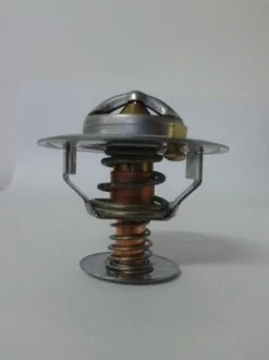 Термостат THERMOTEC D2CA002TT