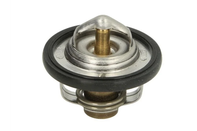 Термостат TOURMAX TMT301 (фото 1)