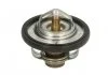 Термостат TOURMAX TMT301 (фото 1)
