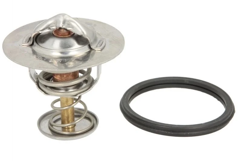 Термостат THERMOTEC D25001TT (фото 1)