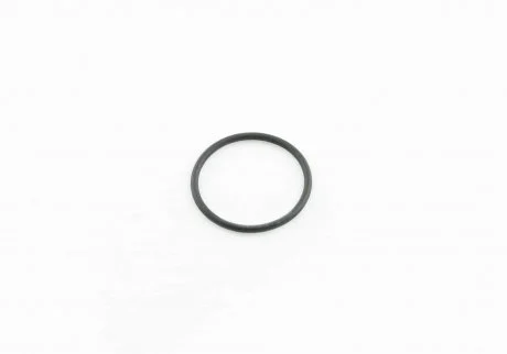 DICHTRING VAG WHT003368
