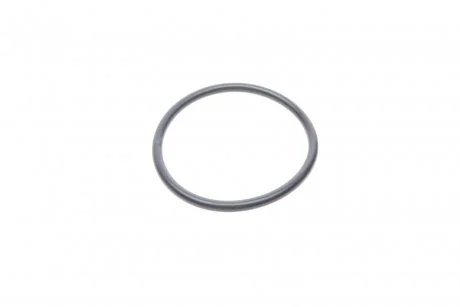 DICHTRING VAG 059121665