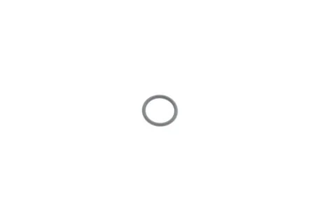 DICHTRING VAG WHT001011A