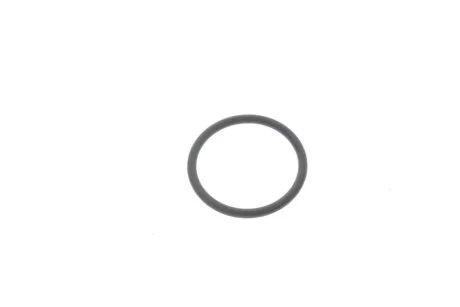 DICHTRING VAG WHT007960A
