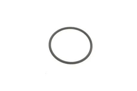 DICHTRING VAG WHT007085