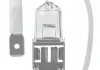 Лампочки освітлення, ксенон, LED NEOLUX NLX45301B (фото 1)