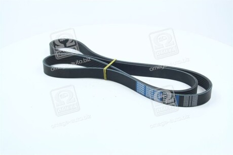 V belt DONGIL 6PK1510