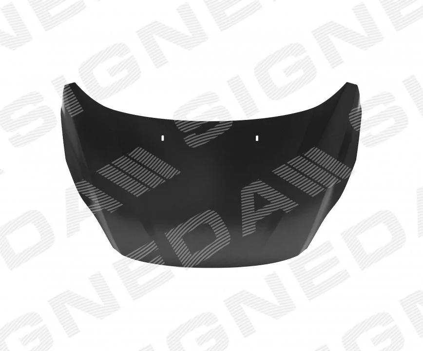 Капот SIGNEDA PFD20175A (фото 1)