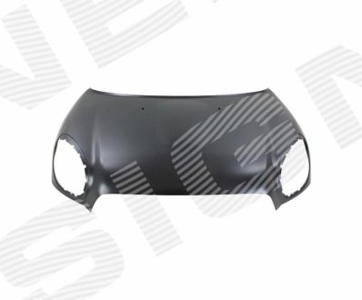 Капот SIGNEDA PAT20017A