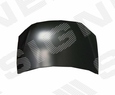 Капот SIGNEDA PVG20099A