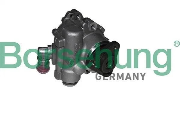 Насос BORSEHUNG B18222 (фото 1)