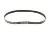 Пас 6РКХ1003 BMW 11287618848 (фото 1)