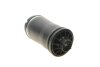 Poduszka powietrzna tylna MERCEDES BENZ M Class (W164/W166) MAGNETI MARELLI 350072600002 (фото 3)