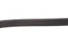 PASEK WIELOROWKOWY 6PK1027 ELAST FORD GATES 6PK1027SF (фото 3)