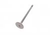 Exhaust valve VIKA 11090216801 (фото 2)