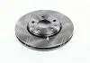 Диск тормозной RENAULT LAGUNA 2.0 07-,GRAND SCENIC 1.2-2.0 09-,MEGANE III 09- передн. (пр-во) REMSA 61344.10 (фото 1)