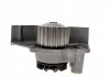 Насос водяний PEUGEOT, CITROEN, FIAT Ruville 65904 (Вир-во) INA 538 0103 10 (фото 4)