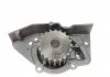 Насос водяний PEUGEOT, CITROEN, FIAT Ruville 65904 (Вир-во) INA 538 0103 10 (фото 5)