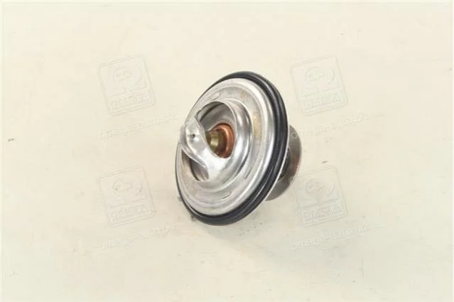Термостат VW TRANSPORTER 90-03, LT 28-46 96-06 (87град.) RIDER RD1517596887 (фото 1)
