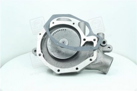 Насос водяний DAF CF 85 - 95XF-95.430-95.480 RIDER RDDF106