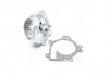 Насос водяной CHERY JAGGI/QQ6 06-, KIMO 07- RIDER RD473H1307010 (фото 1)