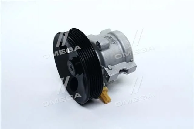 Насос ГУР CHEVROLET AVEO 05- (со шкивом) RIDER RD96535224 (фото 1)