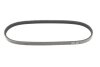 PASEK WIELOKLINOWY CITROEN BERLINGO 1.2 18- GATES 3PK576SF (фото 1)