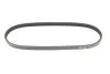 PASEK WIELOKLINOWY CITROEN BERLINGO 1.2 18- GATES 3PK576SF (фото 1)
