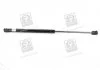 Амортизатор капота HYUNDAI SANTA FE (вир-во) PARTS-MALL PQA005 (фото 1)