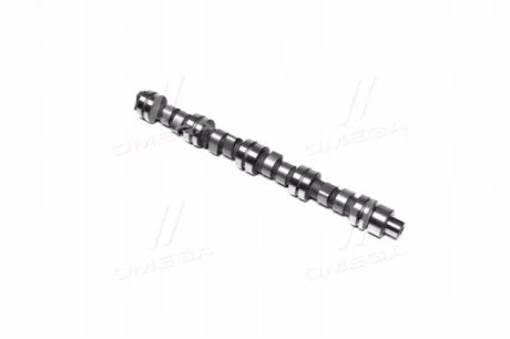 Розподільний вал CHERY AMULET RIDER RD480EEBJ1006015
