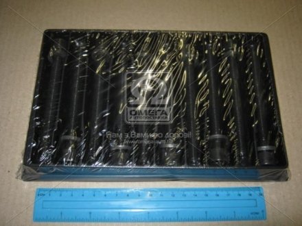 К-т болтов головки блока PAYEN HBS075