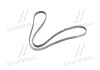 Ремень приводной поликлиновой DAEWOO/CHEVROLET MALIBU, CAMARO, COLORADO GM 12664598 (фото 2)