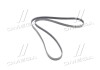 Ремень приводной поликлиновой DAEWOO/CHEVROLET MALIBU, CAMARO, COLORADO GM 12664598 (фото 3)