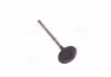 Клапан выпускной Toyota Camry 01-06 RAV4 Avensis Lexus (пр-во Toyota) TOYOTA 1371528010 (фото 1)