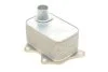 Радиатор масляный SEAT; VW; SKODA; AUDI (пр-во) Van Wezel 03013704 (фото 2)