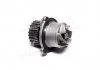 Водяний насос (Вир-во Magneti Marelli кор.код. WPQ0582) MAGNETI MARELLI 352316170582 (фото 1)