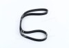 V belt DONGIL 5PK1130 (фото 2)
