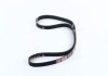 V belt DONGIL 5PK1130 (фото 4)