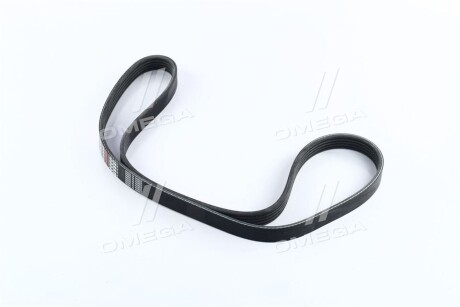 V belt DONGIL 5PK1130