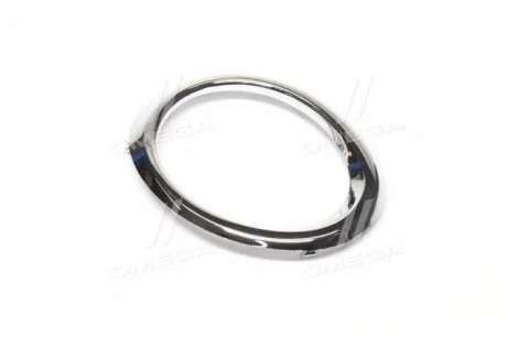 Окуляр решітки в бампер лів. TOY CAMRY 11-14 USA TEMPEST 0494771921